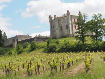 Stage Premieres sensations Bordeaux